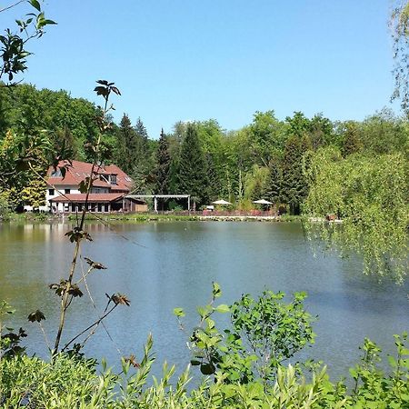 Waldhotel Zur Holzmuhle Eldagsen Exteriér fotografie