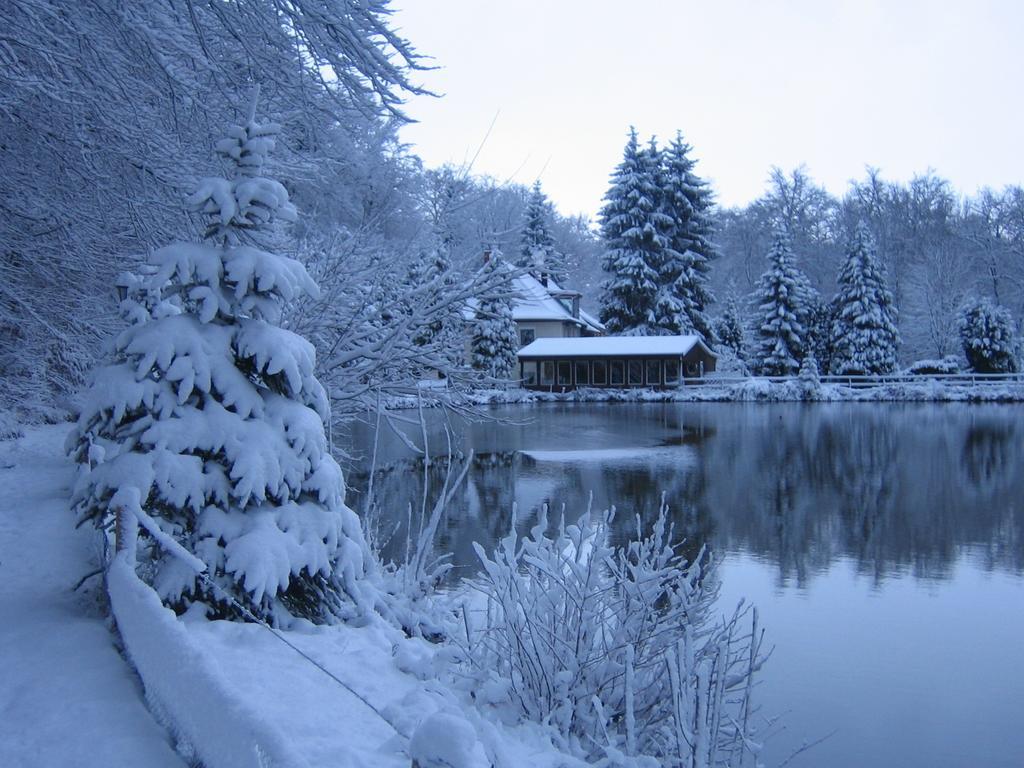 Waldhotel Zur Holzmuhle Eldagsen Exteriér fotografie