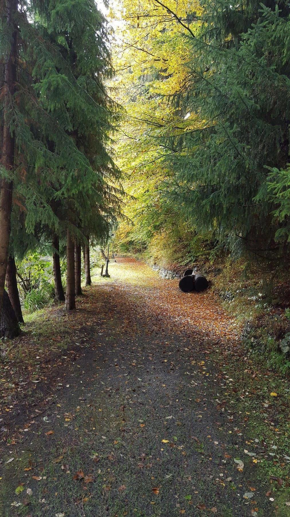 Waldhotel Zur Holzmuhle Eldagsen Exteriér fotografie